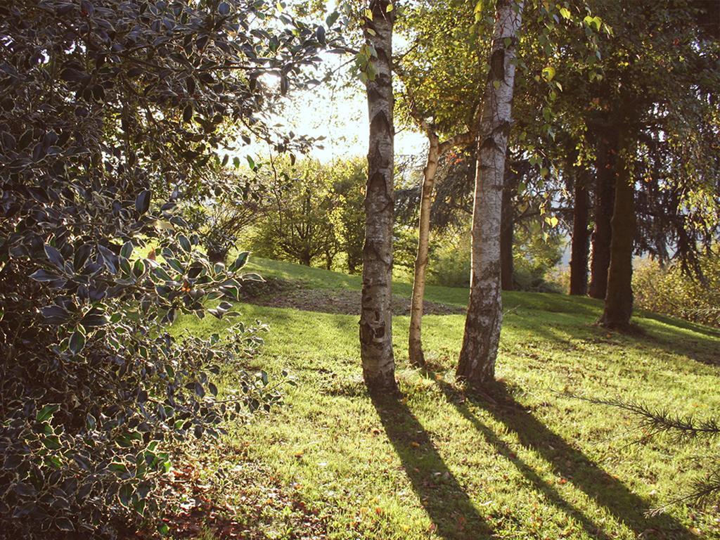 Гостьовий будинок Cascina Langa Trezzo Tinella Екстер'єр фото